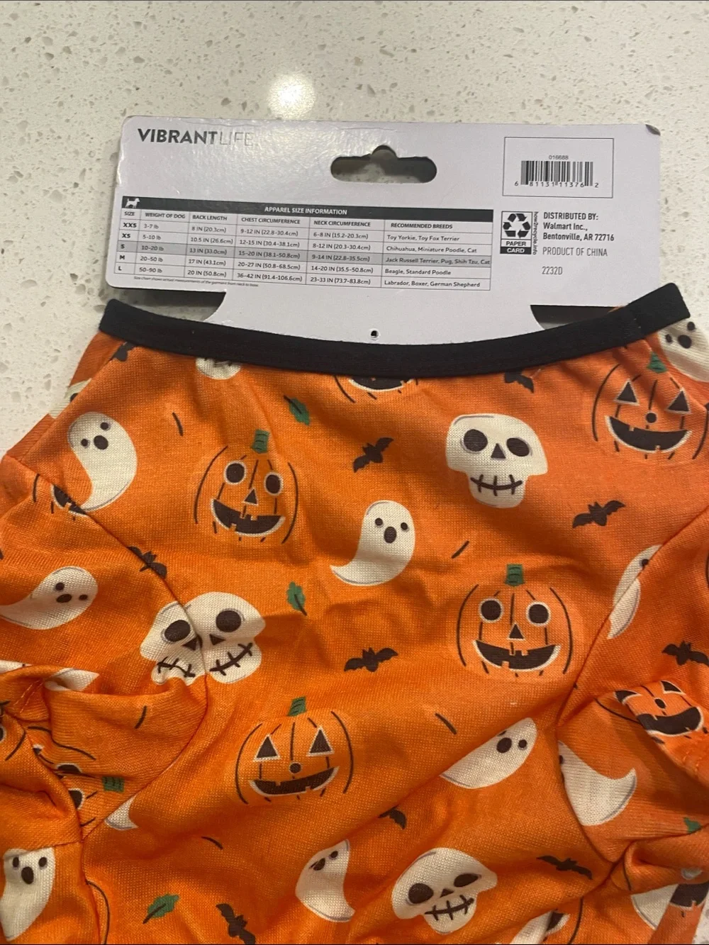 Vibrant cute orange